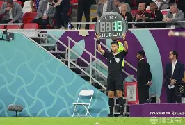 欧预赛决赛红黄牌飞出,裁判执法引热议的简单介绍 欧预赛决赛红黄牌飞出,裁判执法引热议的简单介绍